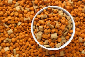 อาหารสัตว์เลี้ยง