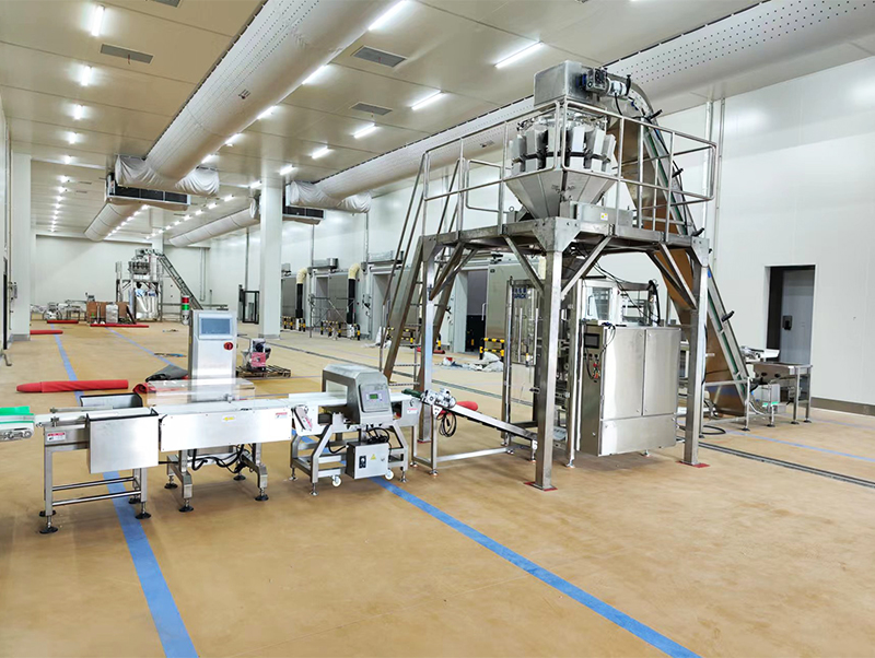 เครื่องบรรจุอาหารอัตโนมัติ forzen