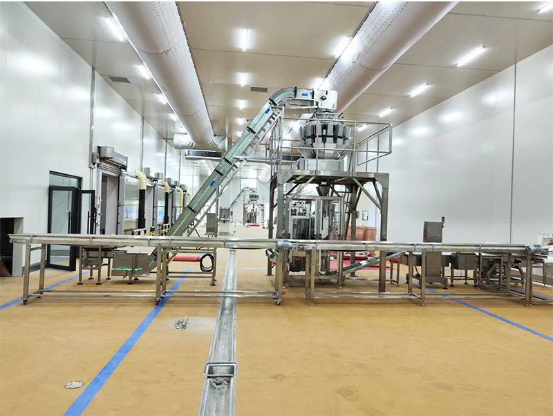 เครื่องบรรจุอาหารอัตโนมัติ forzen