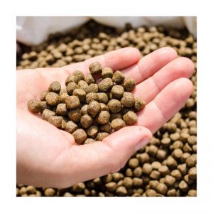 เครื่องบรรจุอาหารสัตว์แนวตั้ง