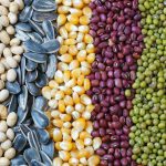 เครื่องบรรจุเมล็ดอัตโนมัติ